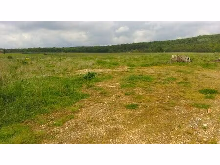 terrain