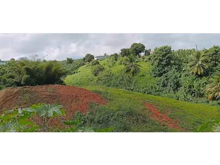 vente terrain à batir 740 m² à le lorrain (97214)  91 000 €