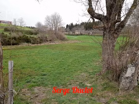 terrain constructible les laubies 1720 m²