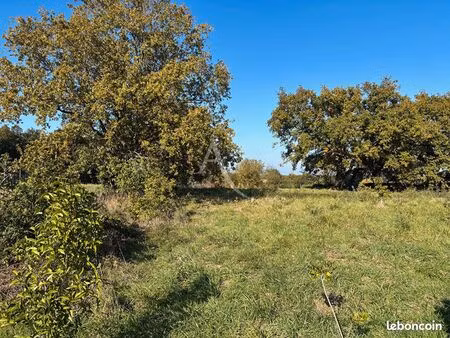 terrain 388 m² ligne