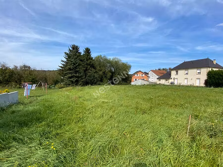 terrain longeville les saint avold 1800 m2