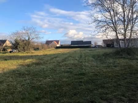 vente terrain 1114 m² à muides-sur-loire (41500)  50 000 €