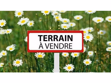 vente terrain  13323.00m²  saint