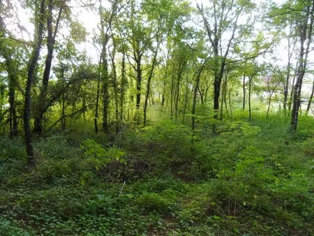 terrain constructible  vue sur la vallée