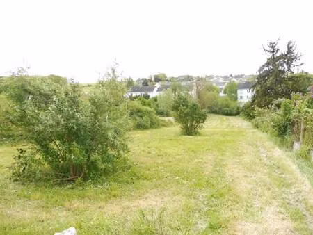 vente terrain 1001 m² sainte-maure-de-touraine (37800)