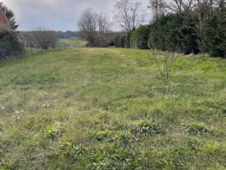 terrain constructible