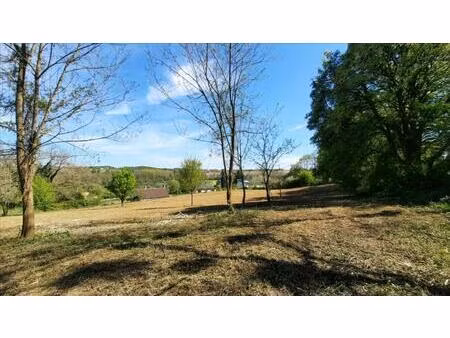 vente terrain 5000 m² vicq-sur-nahon (36600)