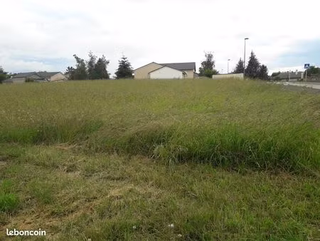 terrain constructible