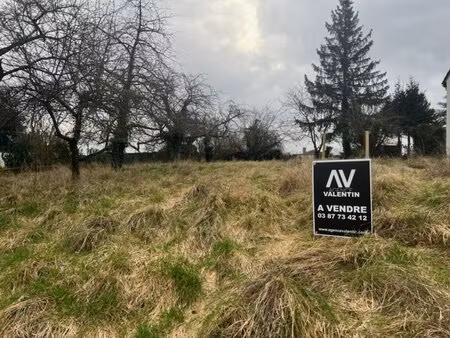 en vente terrain non constructible – 212 000 € |rozérieulles