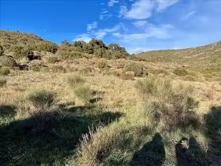 terrain non constructible de 0 pièces principales
