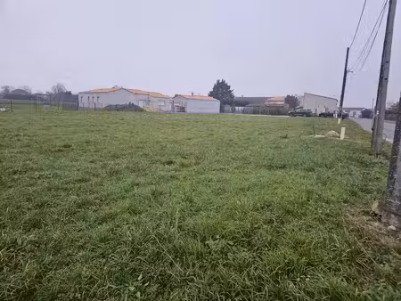 vente terrain thézac 17600 - - surface privée