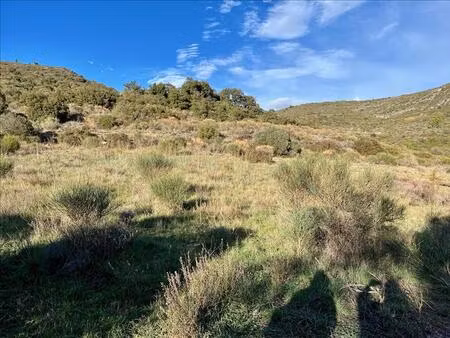 vente terrain 34044 m² vailhan (34320)