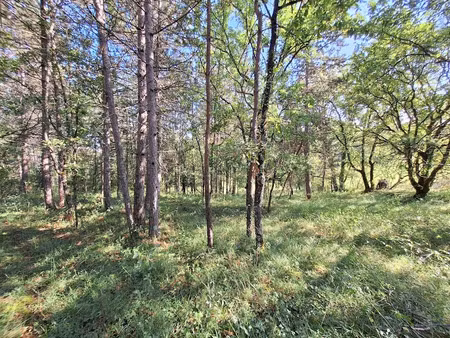 vente terrain 1323 m² à cahors (46000)  39 690 €