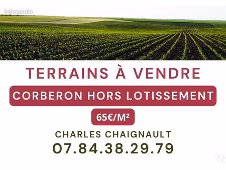 terrain 1072 m² corberon