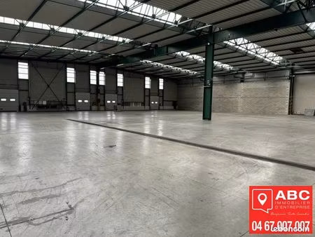 local d'activite 5000 m² prades