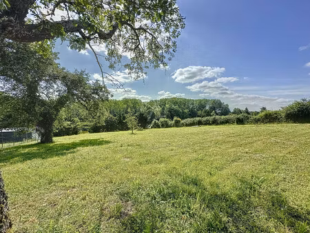 vente terrain constructible chatillon coligny  29 000€ loiret centre n°