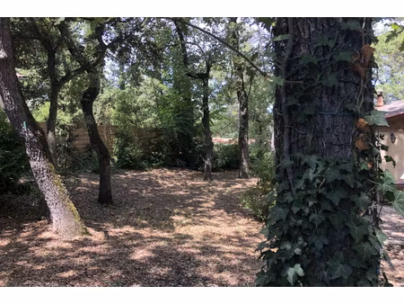 annonce maison à vendre