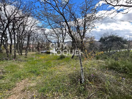 vente terrain 1419 m² saint-romain-de-lerps (07130)