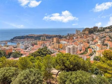 terrain de 4460 m2 - beausoleil  provence-alpes-côte d'azur