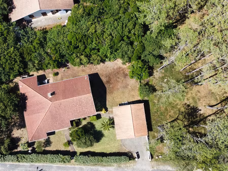 vente maison seignosse 40510 - - surface privée