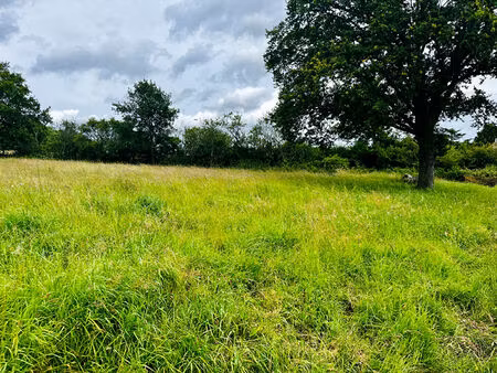 vente terrain 1600 m² charbuy (89113)