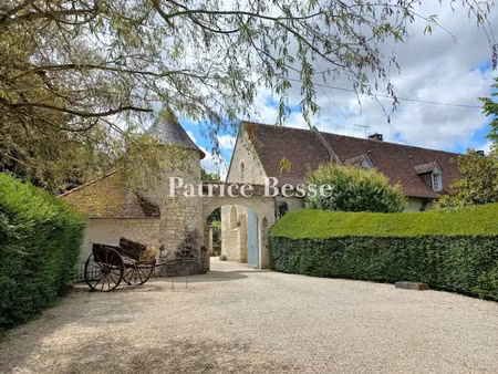 vente maison 18 pièces 900 m² à nouans-les-fontaines (37460)  945 000 €