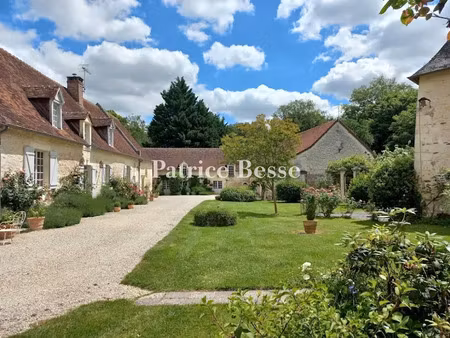 vente maison 18 pièces 900 m² à nouans-les-fontaines (37460)  995 000 €