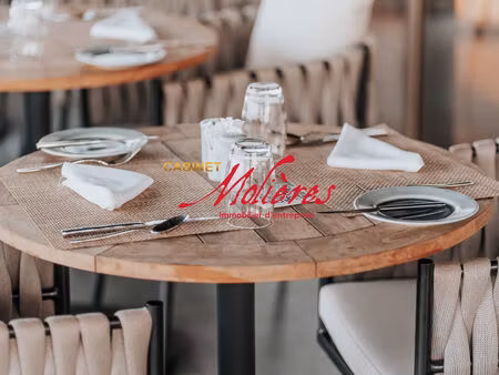 a vendre - fonds de commerce - restaurant toulouse hypercentre - 160 m2