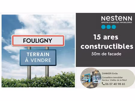 terrain fouligny-construction-maison-viabilisé