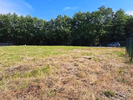 vente terrain à plélan-le-grand (35380) : à vendre / 793m² plélan-le-grand