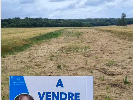 terrain de 1 084 m² à torfou