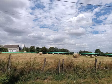 vente terrain 15514 m² ourouer-les-bourdelins (18350)