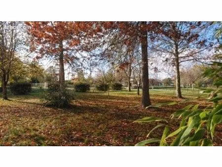 terrain 1000 m2 à la magdelaine sur tarn