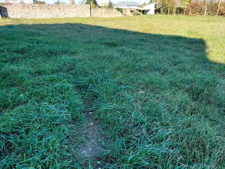 vente terrain à saint-mars-la-jaille (44540) : à vendre / 979m² saint-mars-la-jaille