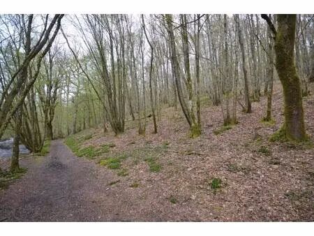 terrain en vente à aux 500 bonniers  oignies-en-thiérache  belgique | century 21®