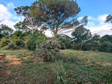 vente terrain 600 m² rions (33410)