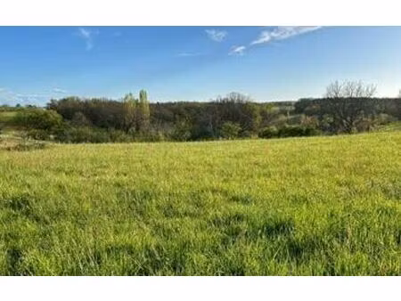 terrain l'honor-de-cos m² t- à vendre  50 000 €