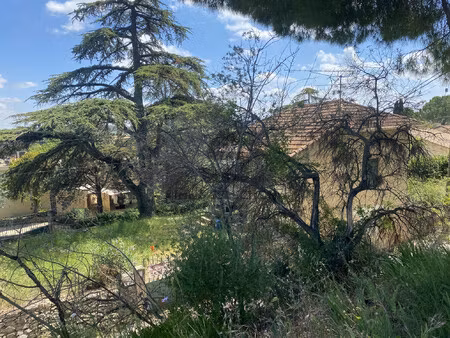 magnifique terrain constructible sur calvisson