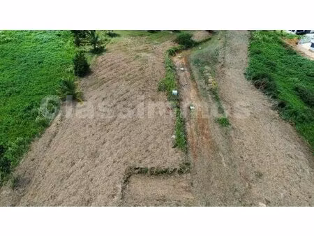 terrain plat viabilise sur ducos