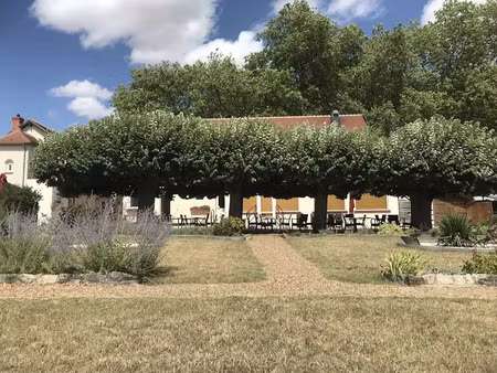 vente locaux professionnels 16 pièces 706.46 m² à pouilly-sur-loire (58150)  275 000 €