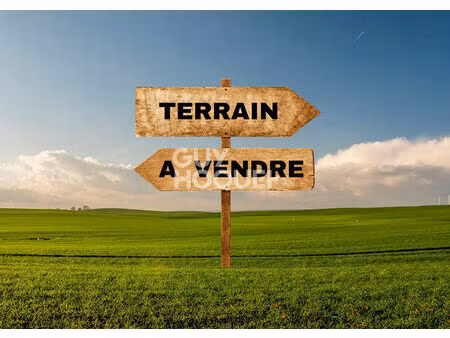 terrain libre de constructeur