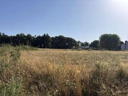 vente terrain à aubigny (85430) : à vendre / 441m² aubigny