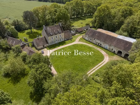 vente maison 10 pièces 425 m² à cosne-cours-sur-loire (58200)  950 000 €