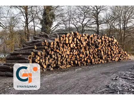 vente terrain 51130 m² à radepont (27380)  100 000 €