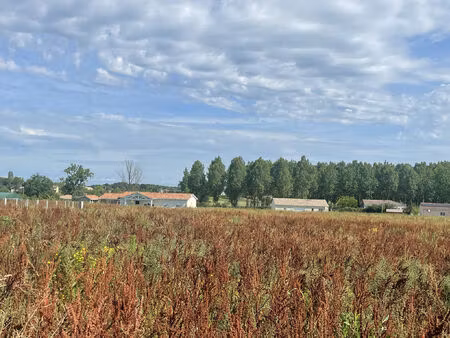 vente terrain 8783 m² casteljaloux (47700)