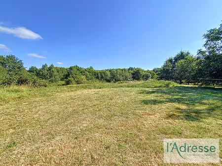 vente terrain  3300.00m²  saint