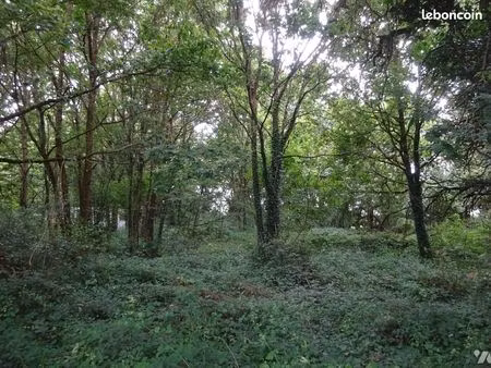 terrain 1254 m² marolles les buis