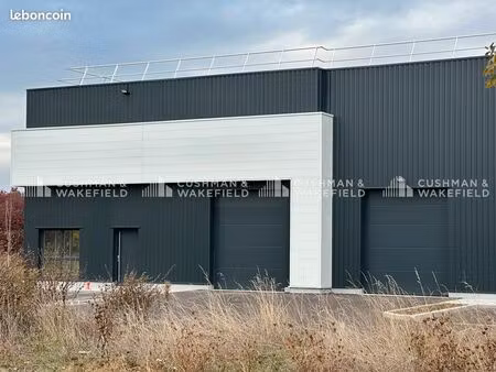 local d'activité 237 m²