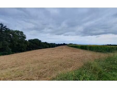 terrain sault-de-navailles m² t- à vendre  50 000 €