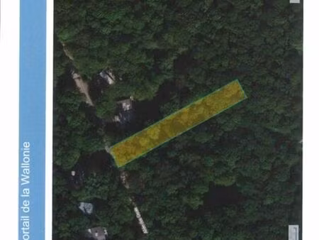 beau terrain dans domaine